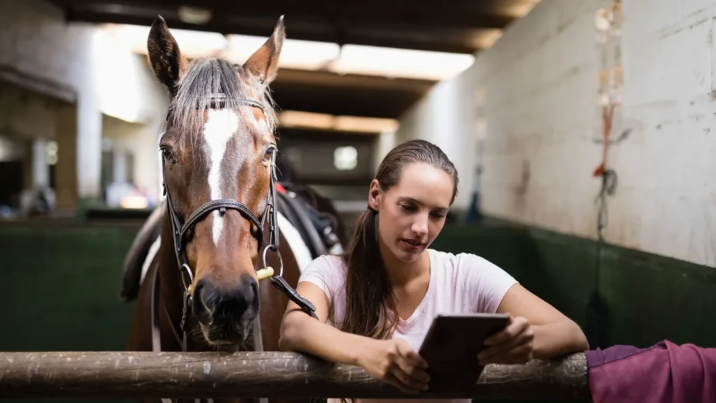 ICTQual Level 3 Award in Stable Management