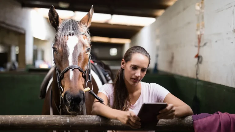 ICTQual Level 3 Award in Stable Management