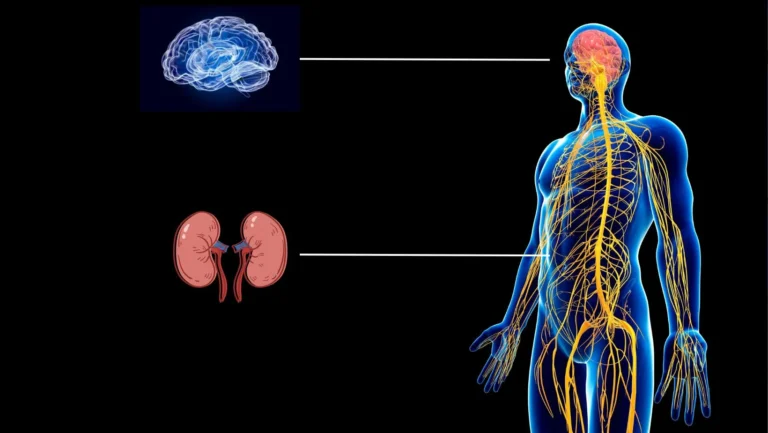 ICTQual Level 3 Award in Pharmacotherapy: Nervous, Sensory and Genitourinary Systems