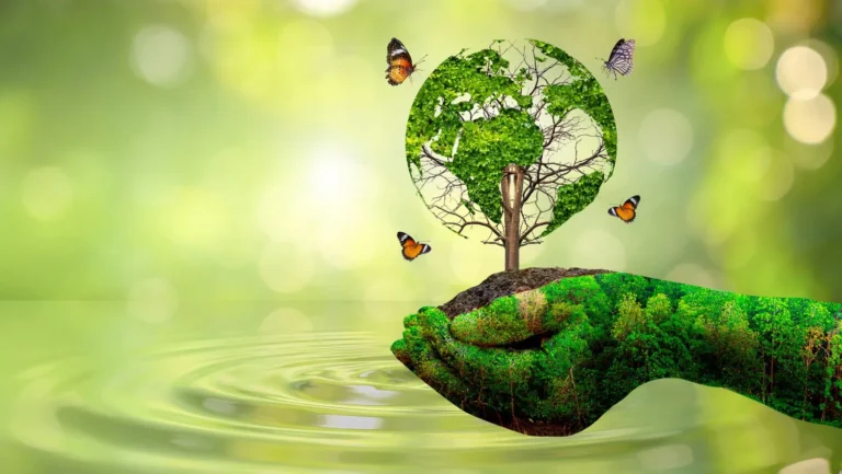 ICTQual CPD Course in Introduction to Environmental Conservation