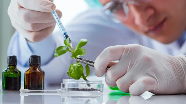 ICTQual AB Level 3 International Diploma in Biotechnology and Biomedical Engineering
