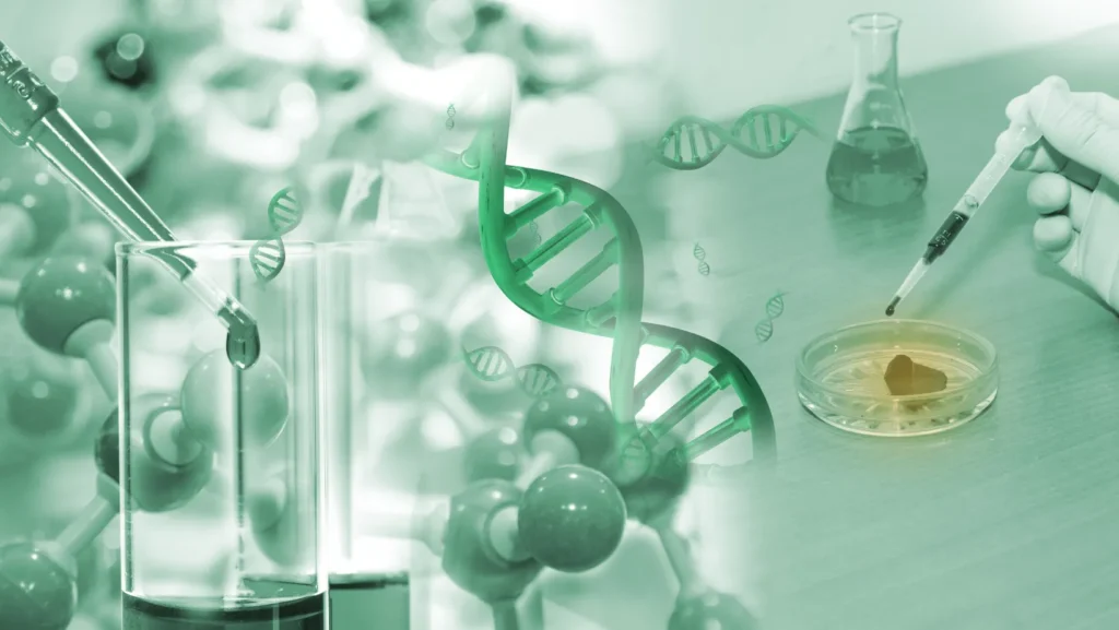 ICTQual AB Level 7 Postgraduate Diploma in Biopharmaceutical Sciences (PgD Biopharmaceutical Sciences)