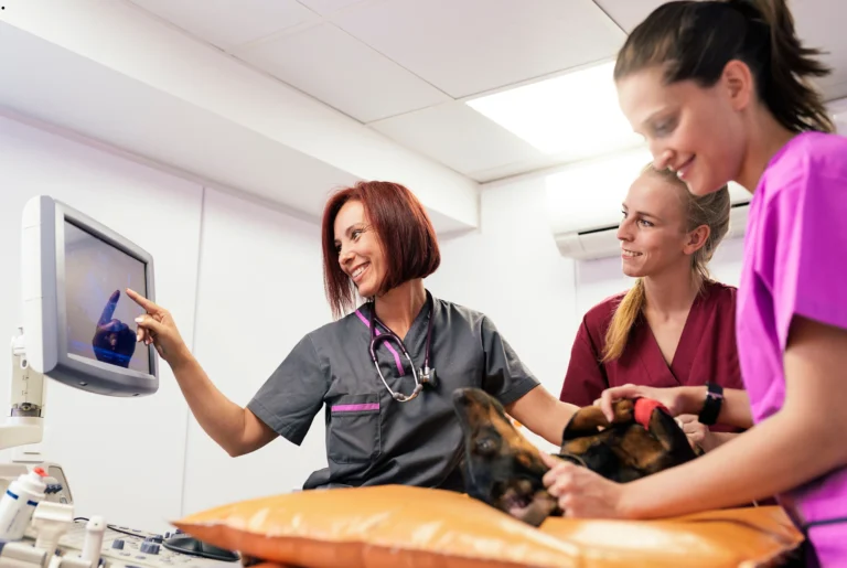 ICTQual Level 5 Advanced Diploma in Veterinary Nursing (Medical)