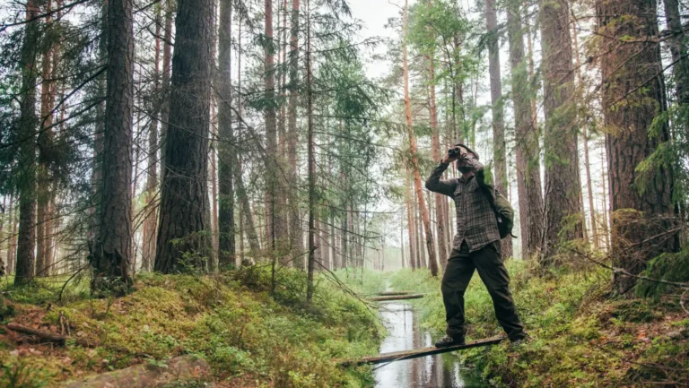 ICTQual Level 1 Award in Bird Watching Techniques