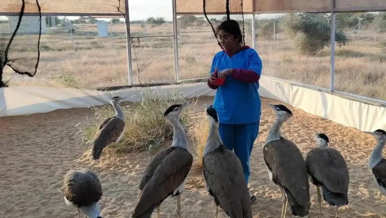 ICTQual Level 1 Award in Captive / Conservation Breeding Techniques