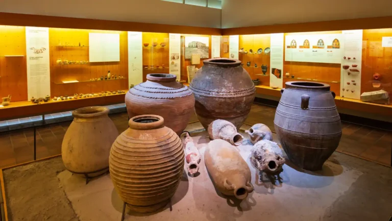 ICTQual Level 1 Award in Natural History Museum Development