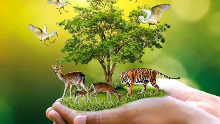 ICTQual Level 1 Award in Principles of Wildlife Management