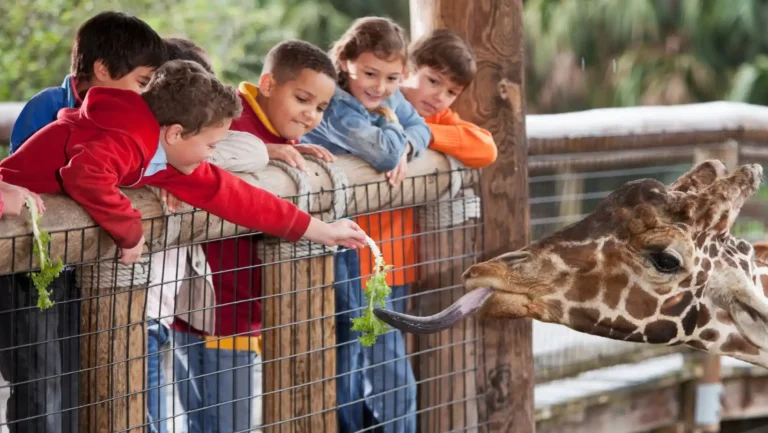 ICTQual Level 1 Award in Zoo Management and Animal Keeping