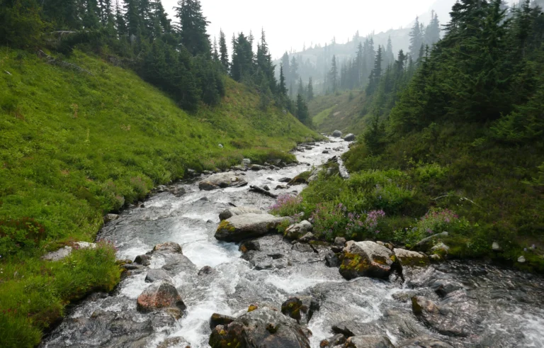 ICTQual Level 2 Award in Natural Resources Management