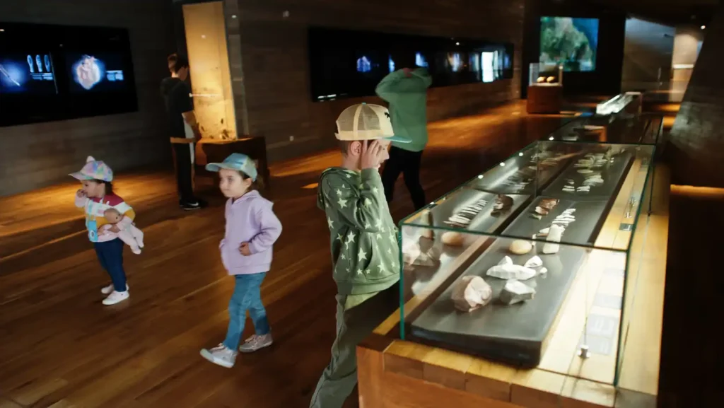 ICTQual Level 3 Award in Natural History Museum Development