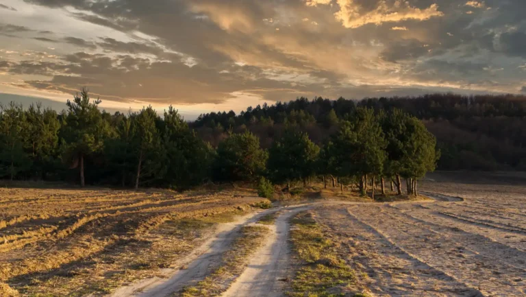 ICTQual Level 3 Certificate in Climate Change and Adaptations