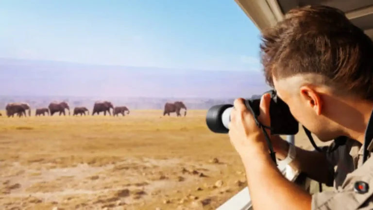 ICTQual Level 3 Certificate in Wildlife Photography Field Techniques