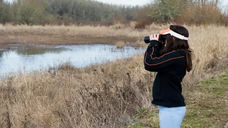 ICTQual Level 3 Diploma in Bird Watching Techniques