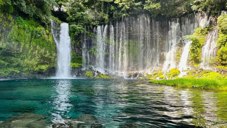 ICTQual Level 3 Diploma in Ichthyological Survey Techniques