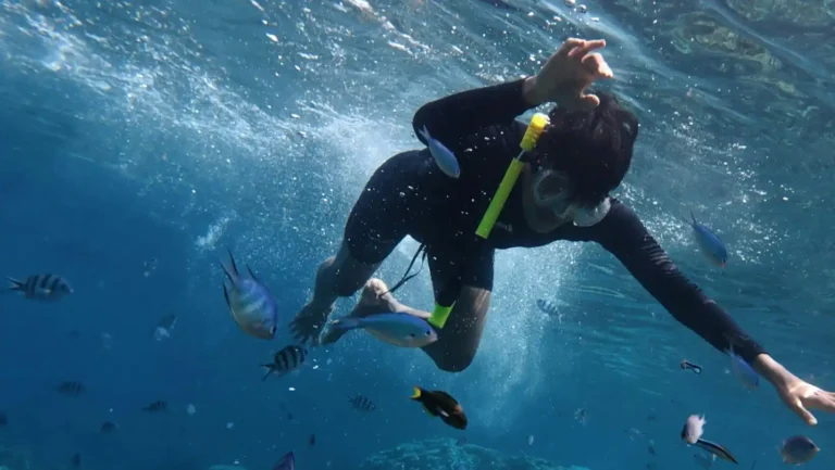 ICTQual Level 4 Diploma in Ichthyological Survey Techniques