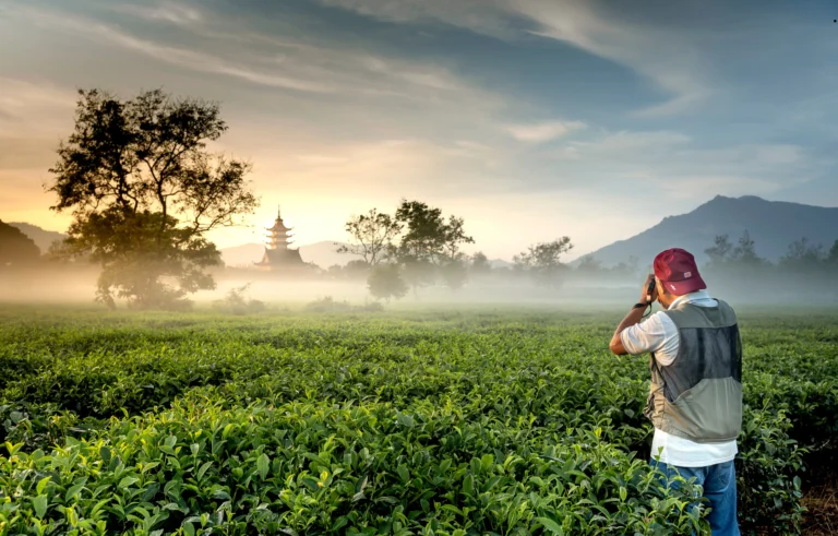 ICTQual Level 4 Diploma in Natural Resources Management