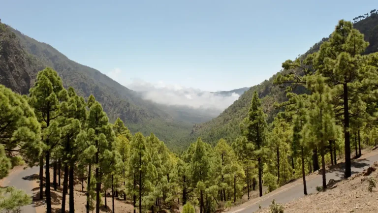 ICTQual Level 4 Diploma in Climate Change and Adaptations