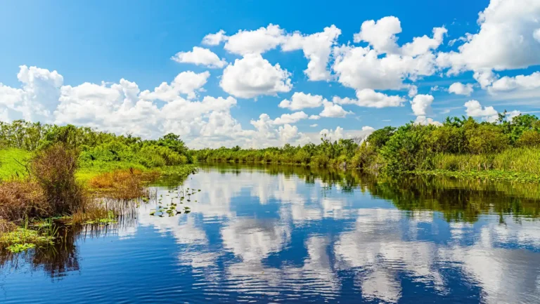 ICTQual Level 5 Diploma in Principles of Protected Areas Management