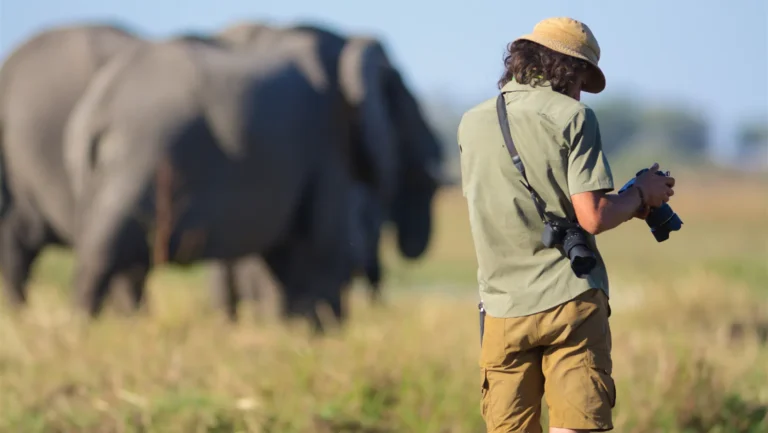 ICTQual Level 5 Diploma in Wildlife Photography Field Techniques