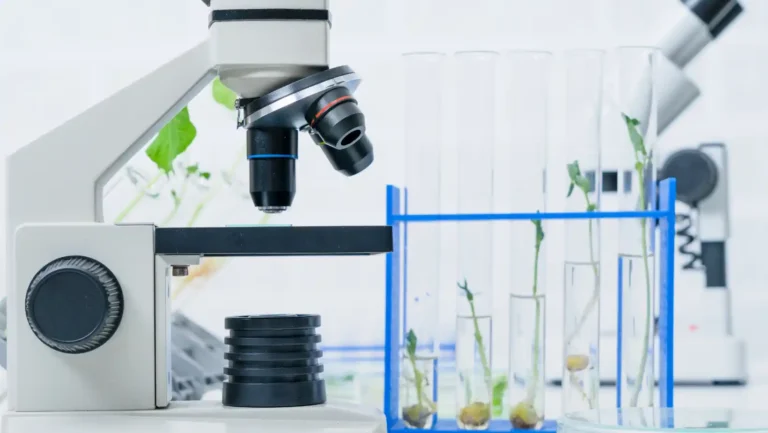 ICTQual Level 6 Diploma in Captive / Conservation Breeding Techniques