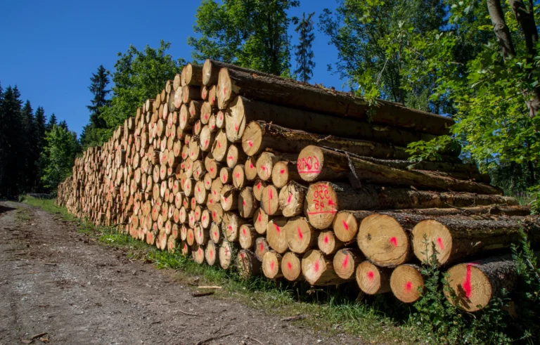 ICTQual Level 6 Diploma in Natural Resources Management