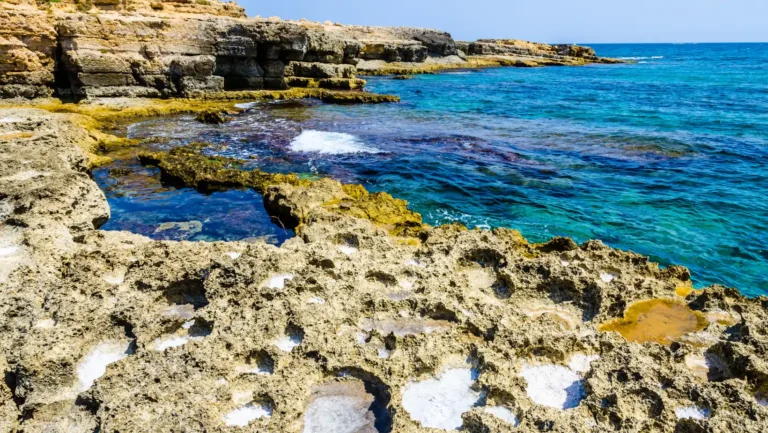 ICTQual Level 6 Diploma in Principles of Protected Areas Management