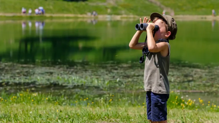 ICTQual Level 7 Diploma in Bird Watching Techniques