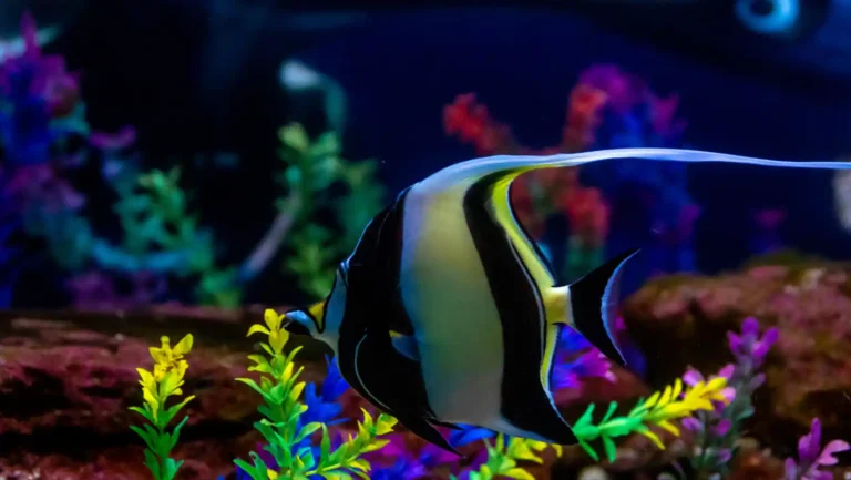 ICTQual Level 7 Diploma in Ichthyological Survey Techniques