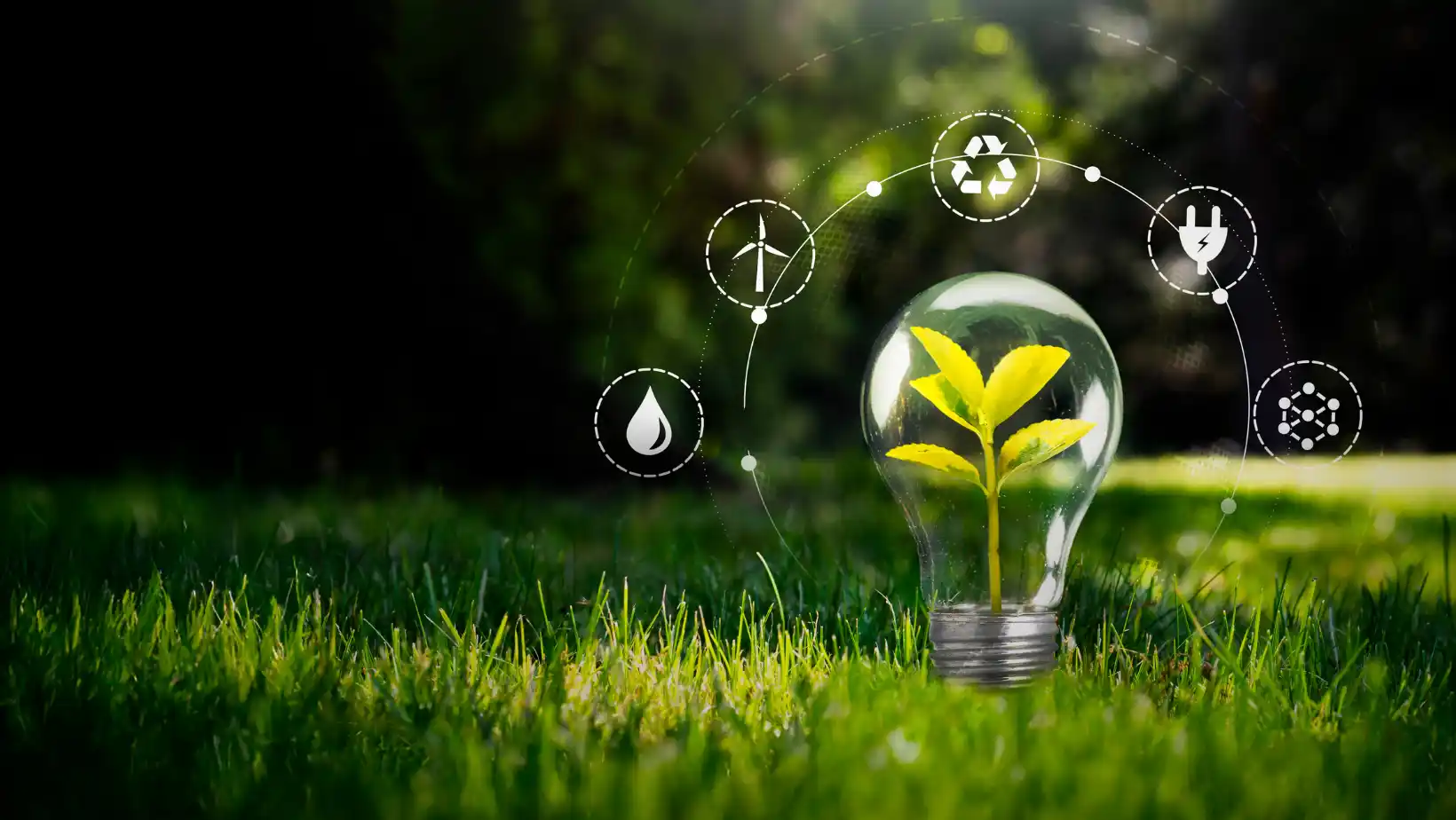 ICTQual AB Level 2 Award in Environmental Principles & Best Practices