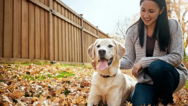 ICTQual Level 4 Diploma in Animal Rights and Wildlife Legislation