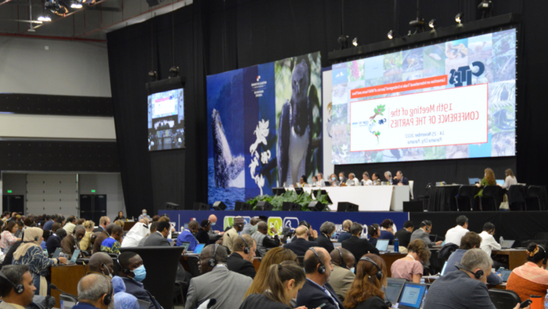 ICTQual Level 5 Diploma in Wildlife Related Conventions (CITES, CMS, CBD Ramsar)