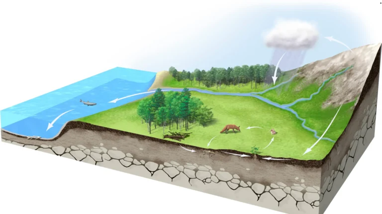 ICTQual ISO 14001:2026 EMS (Environmental Management System) Foundation Course